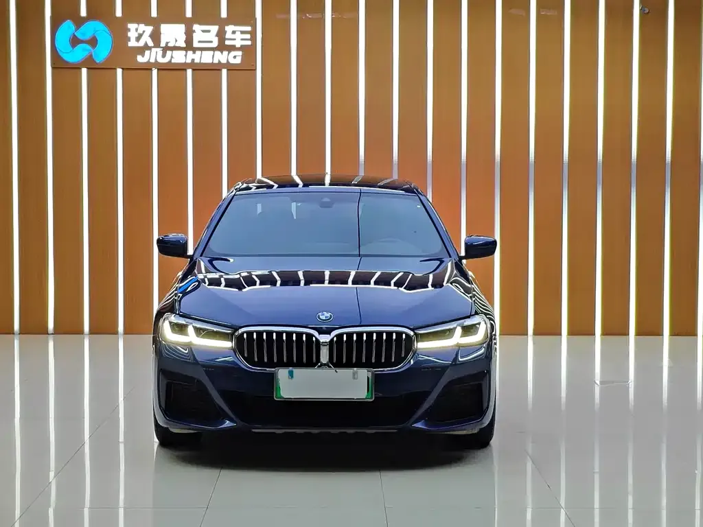BMW 5 Series New Energy — фото 3