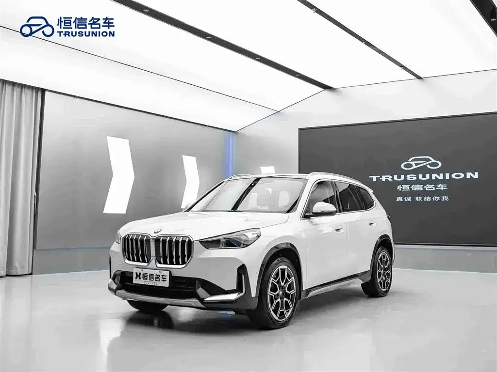 BMW X1 — фото 10