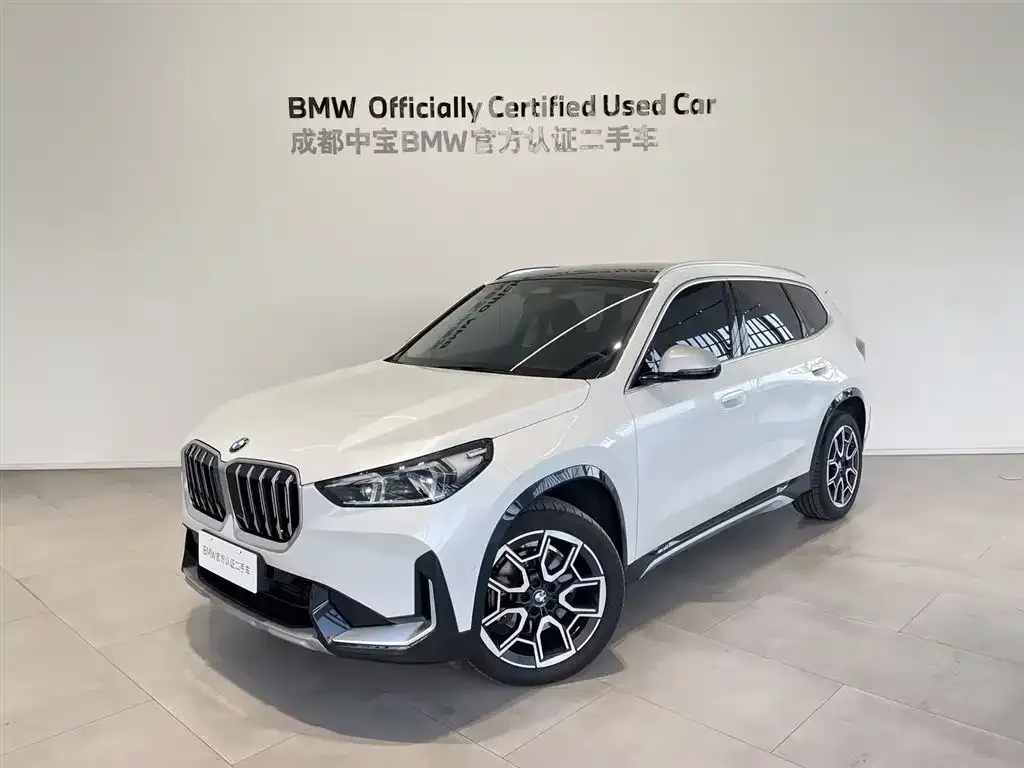 BMW X1 — фото 1