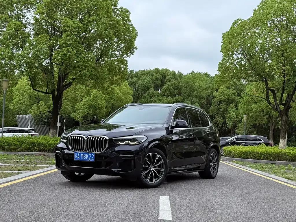 BMW X5 (Import) — фото 1
