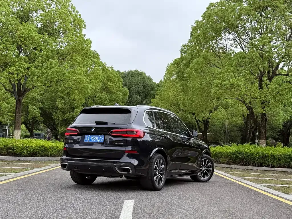 BMW X5 (Import) — фото 6