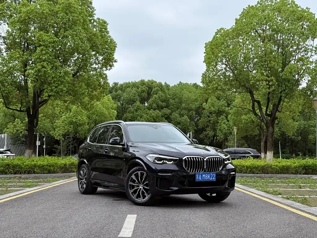BMW X5 (Import) — фото 8