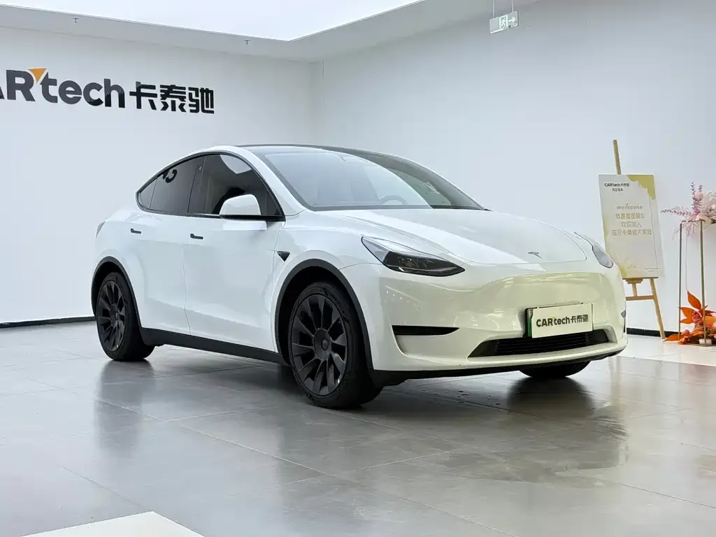 Tesla Model Y — фото 3