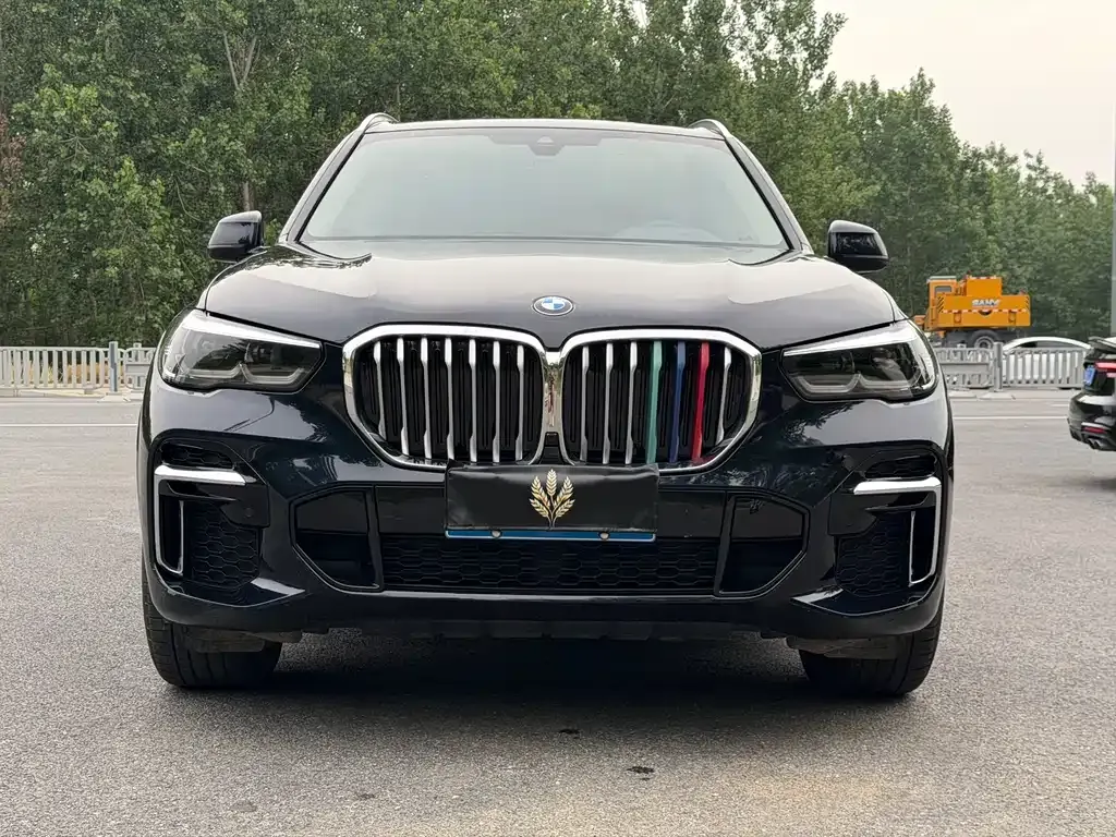 BMW X5 — фото 10