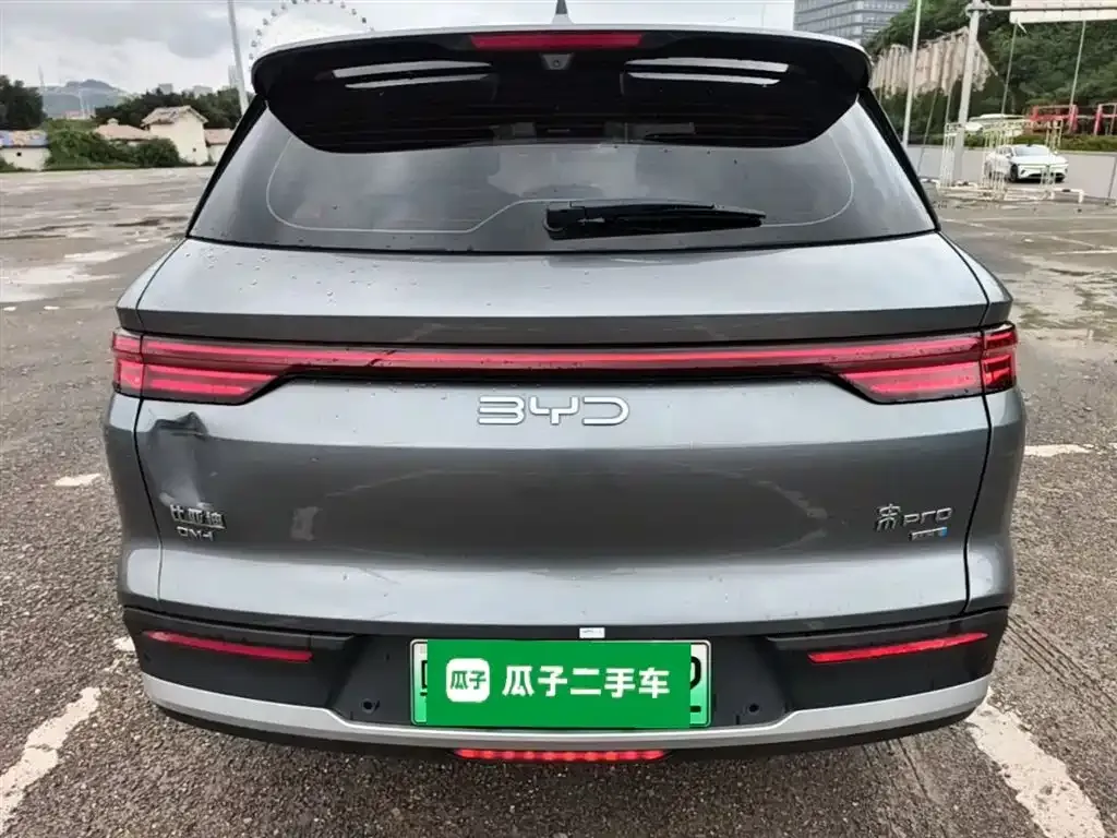 BYD Pro New Energy — фото 7