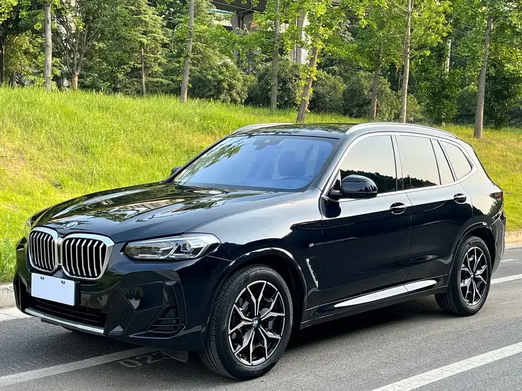 BMW X3 — фото 1
