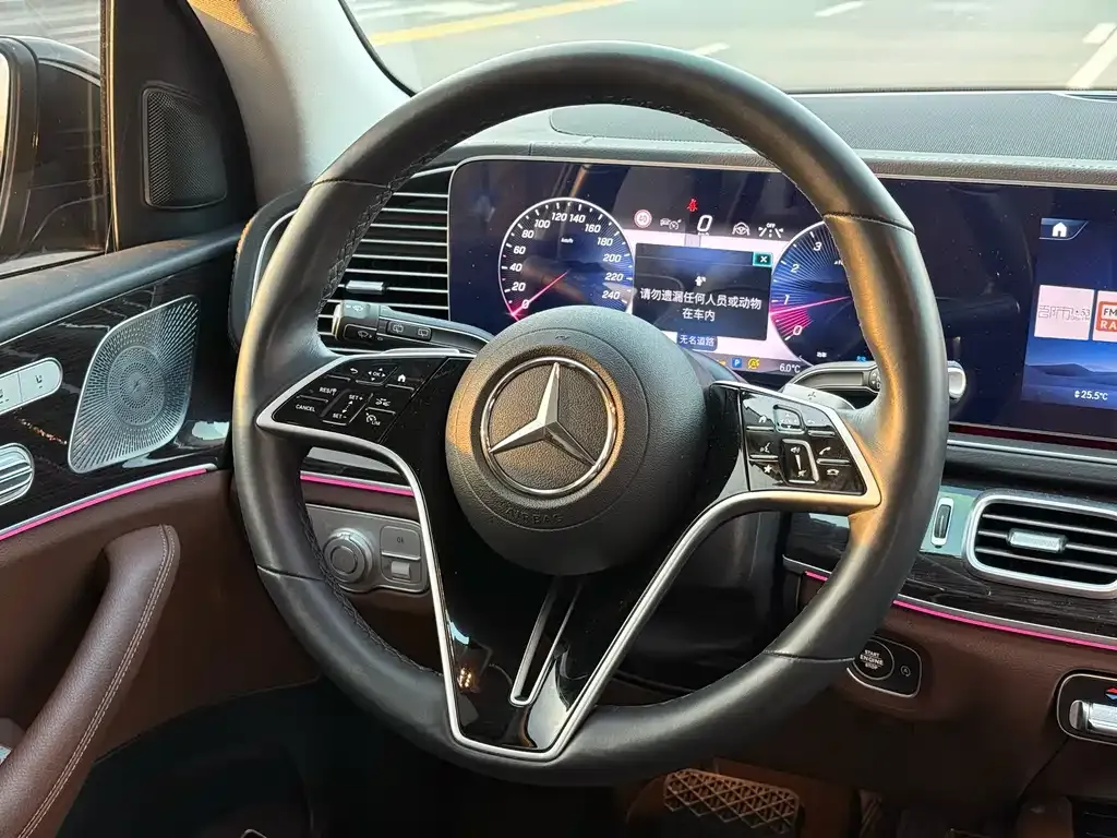 Mercedes-Benz 奔驰GLE(进口) — фото 4