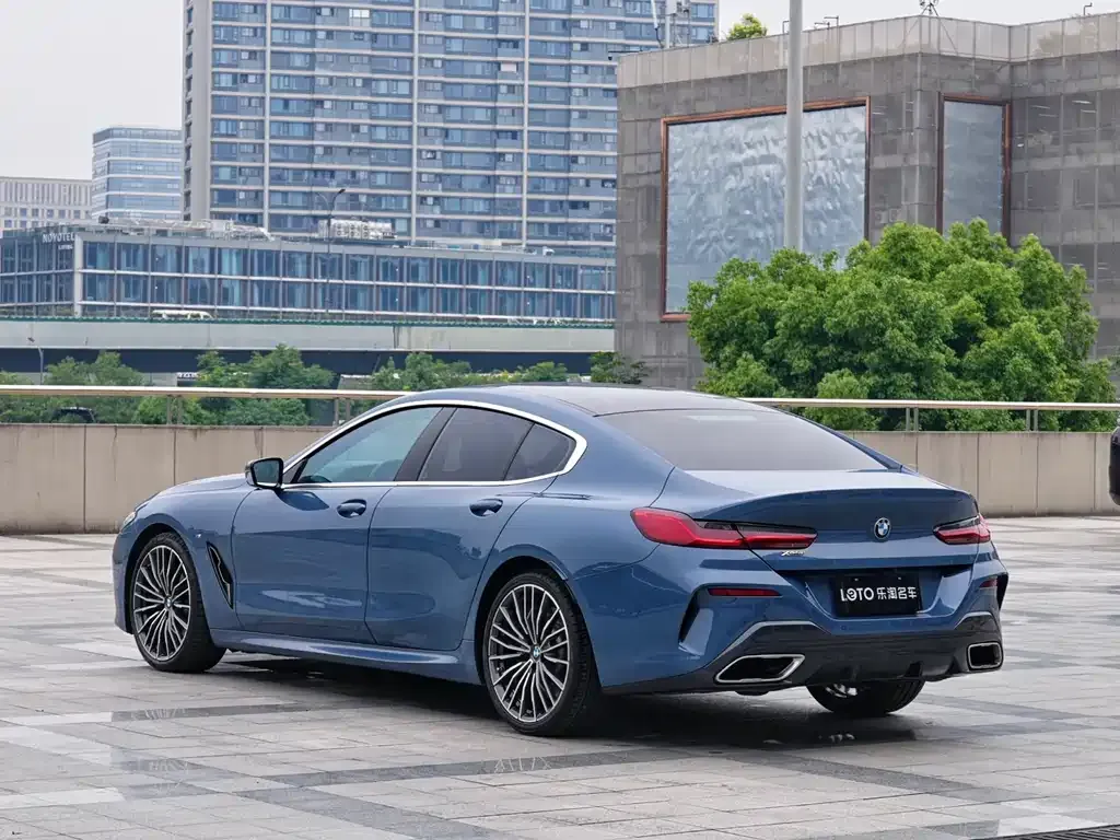 BMW 8 Series — фото 10