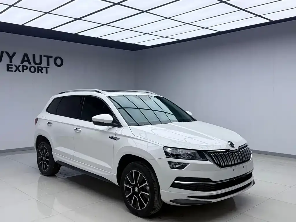 Skoda Karoq — фото 7