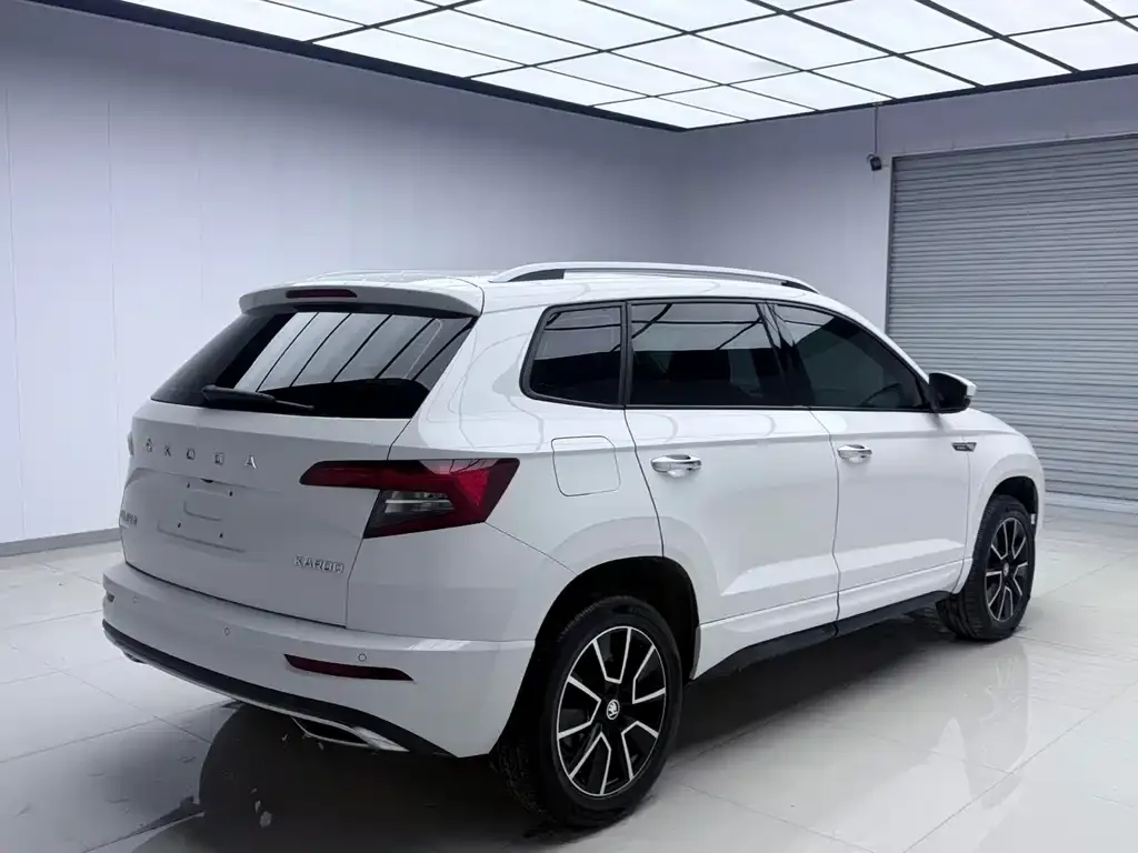 Skoda Karoq — фото 9