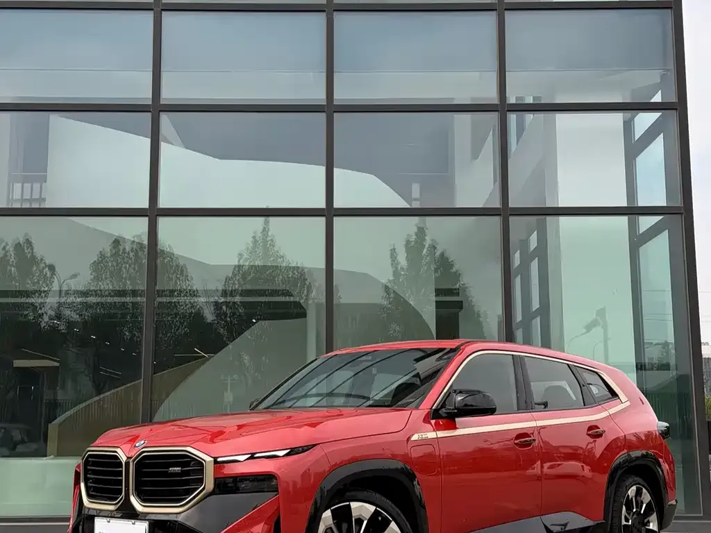 BMW XM — фото 4