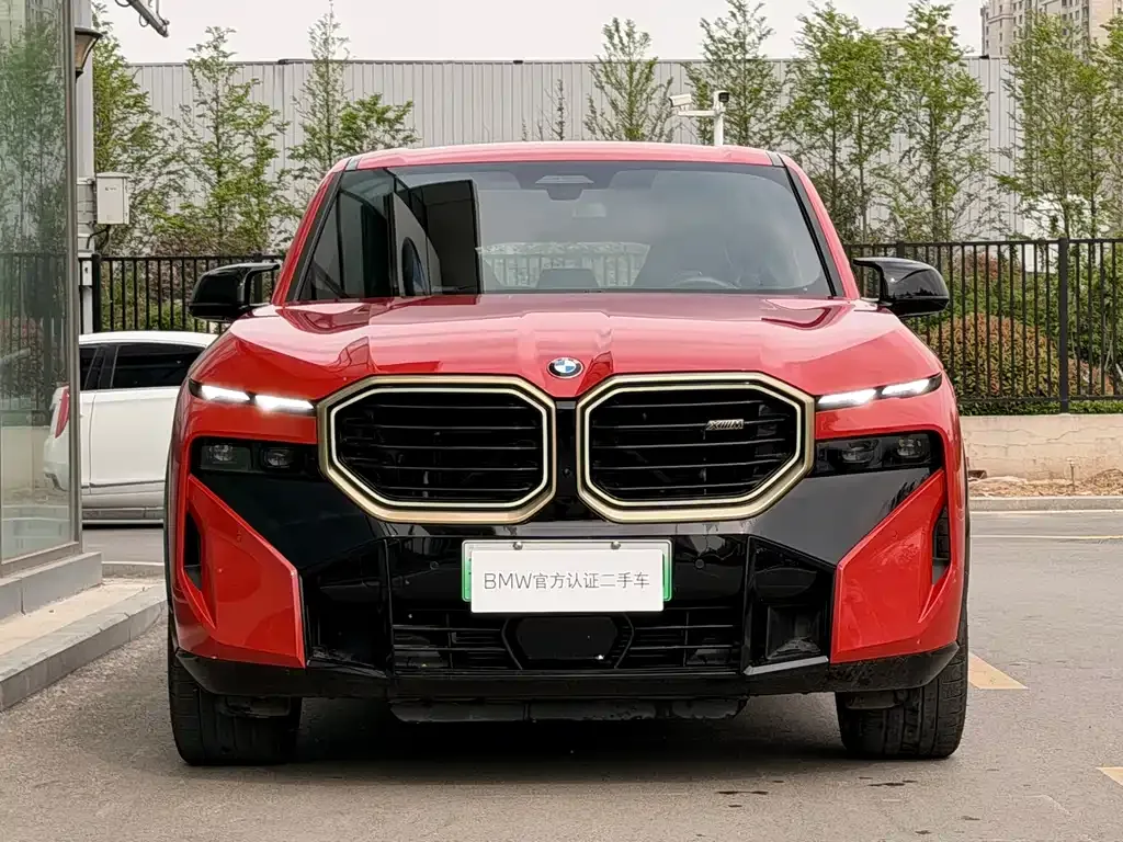 BMW XM — фото 9