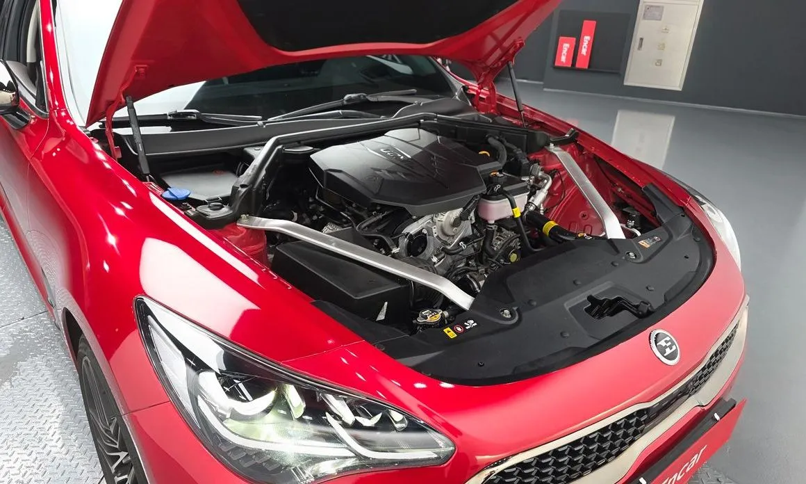 Kia Stinger — фото 10