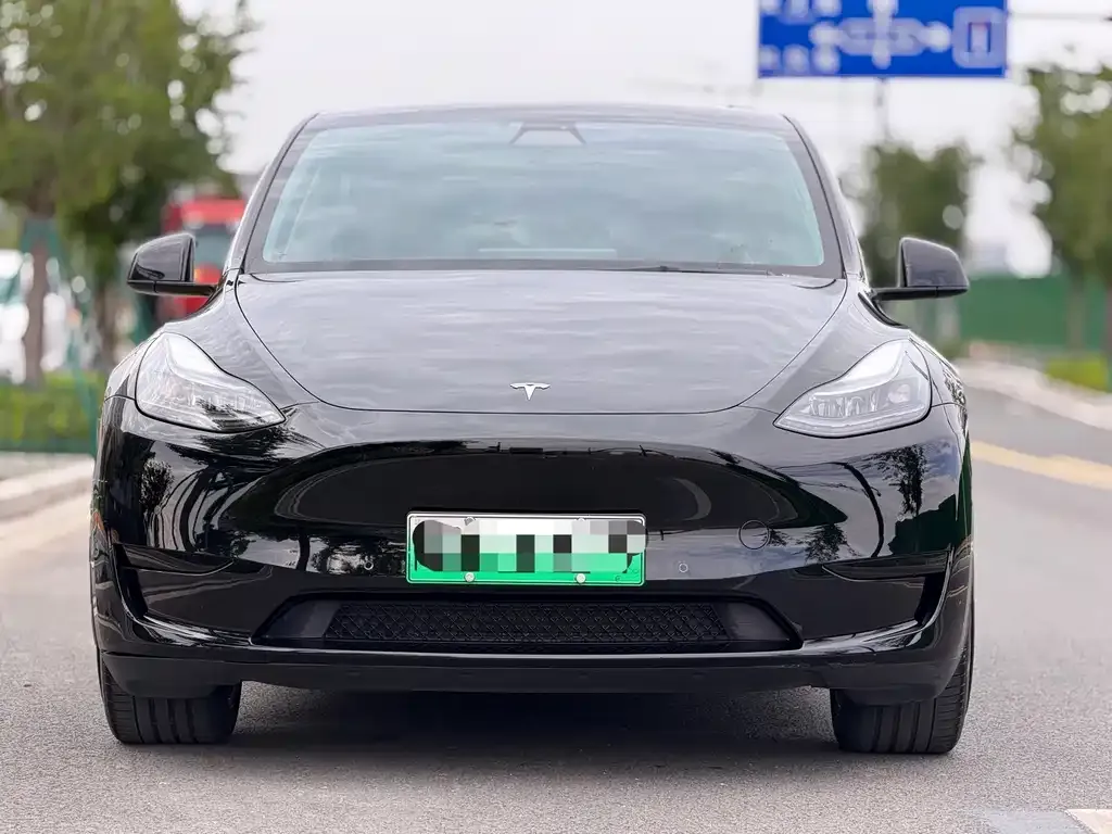 Tesla Model Y — фото 2