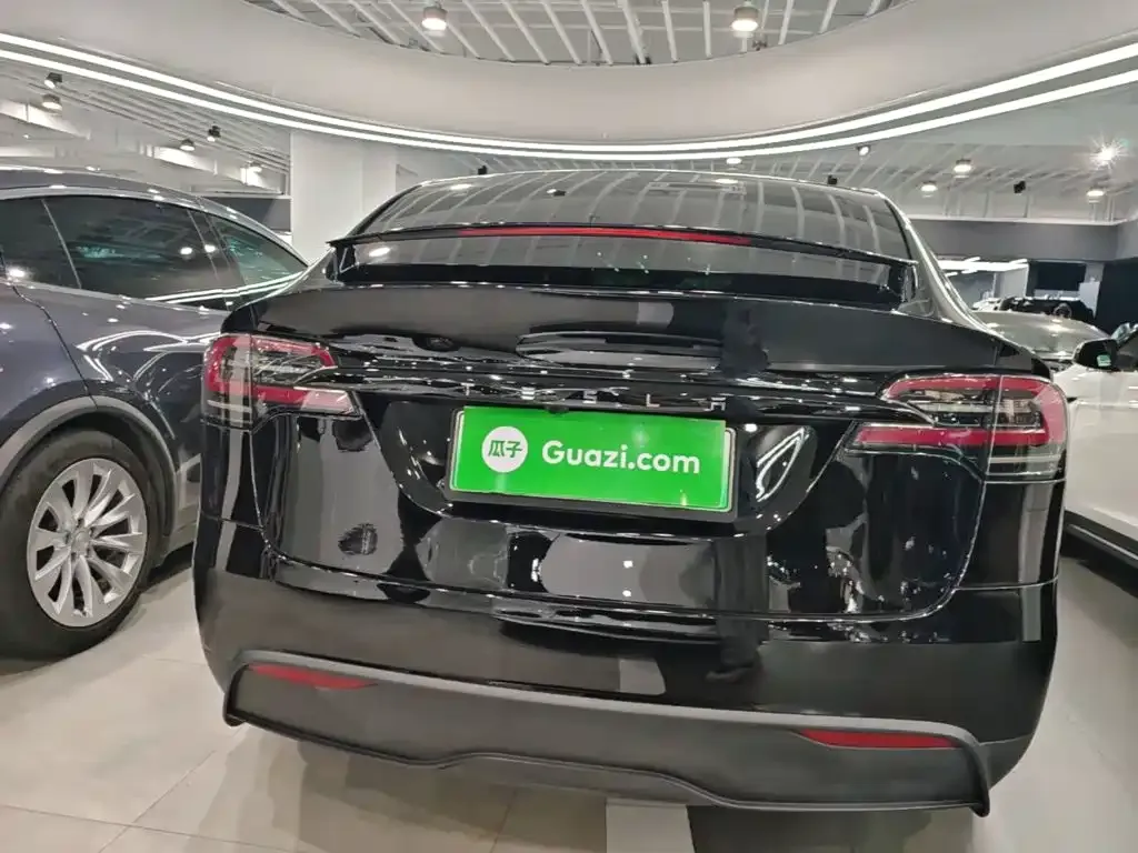 Tesla Model X — фото 10