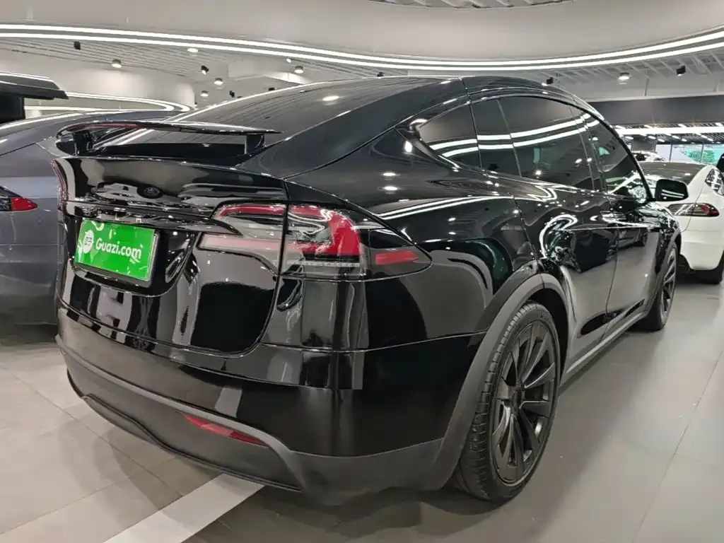 Tesla Model X — фото 8