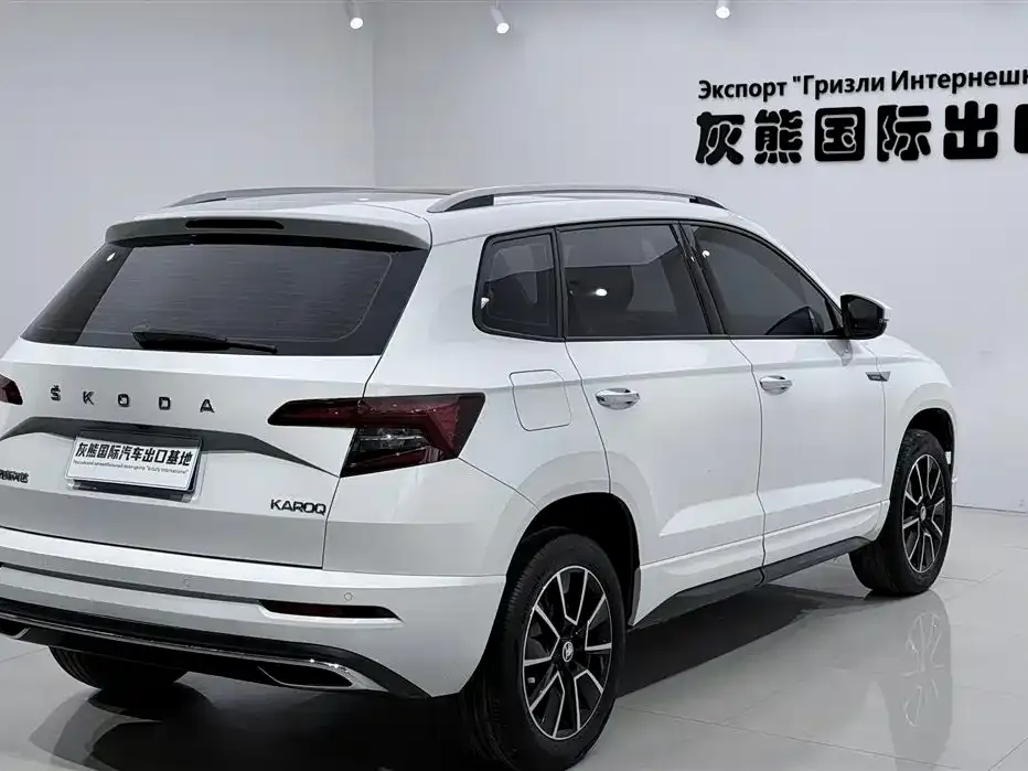 Skoda Karoq — фото 9