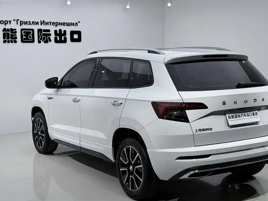 Skoda Karoq — фото 10