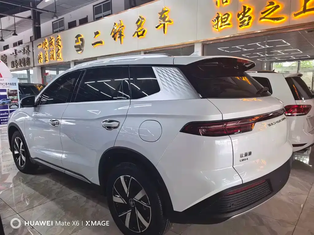 BYD Pro New Energy — фото 3