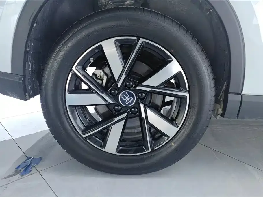 BYD Pro New Energy — фото 3
