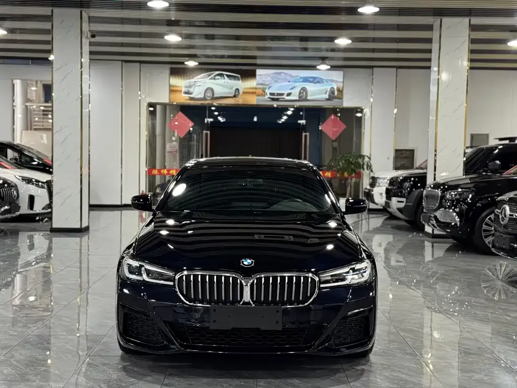 BMW 5 Series (Import) — фото 6