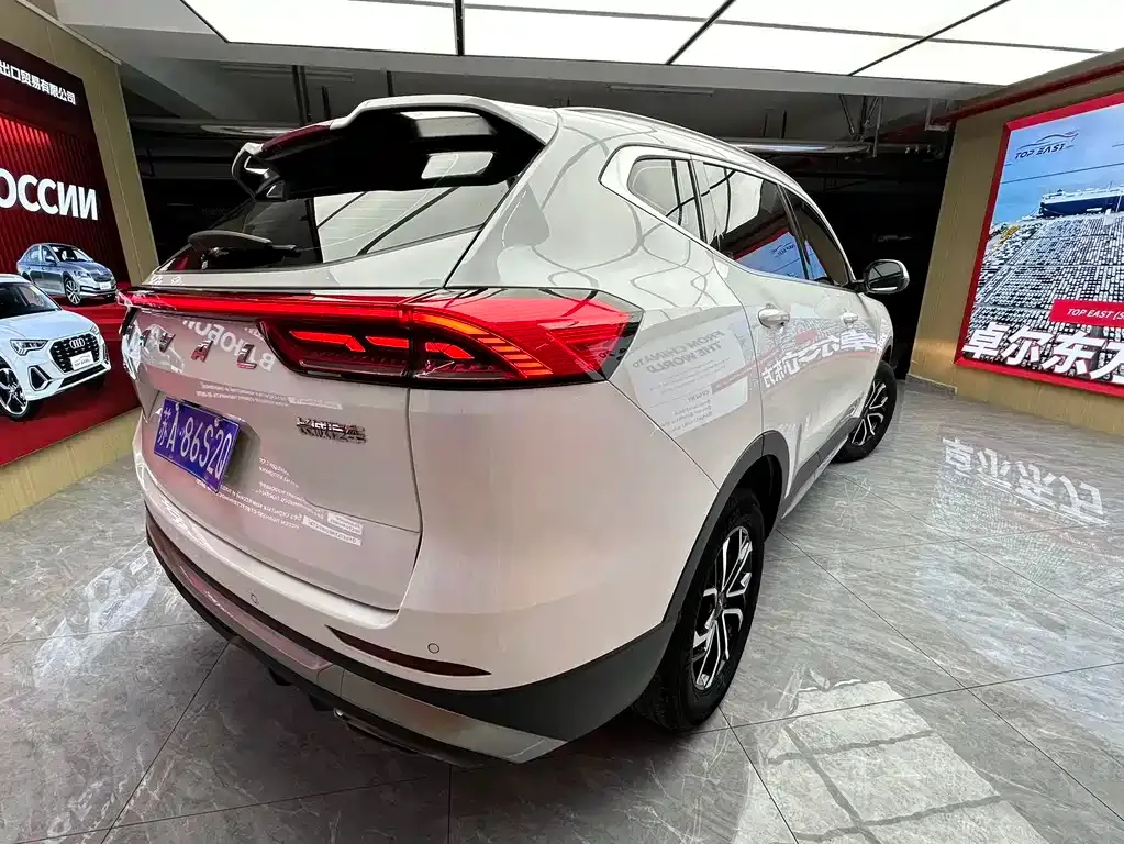 Haval H6 — фото 10