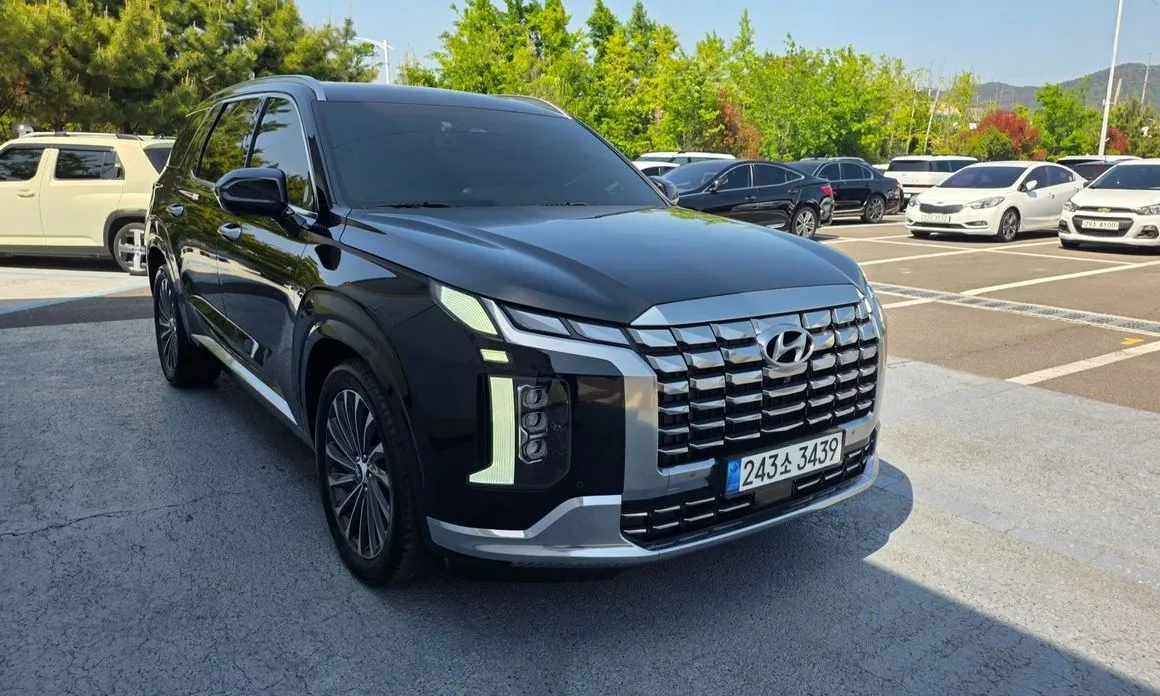 Hyundai Palisade — фото 10