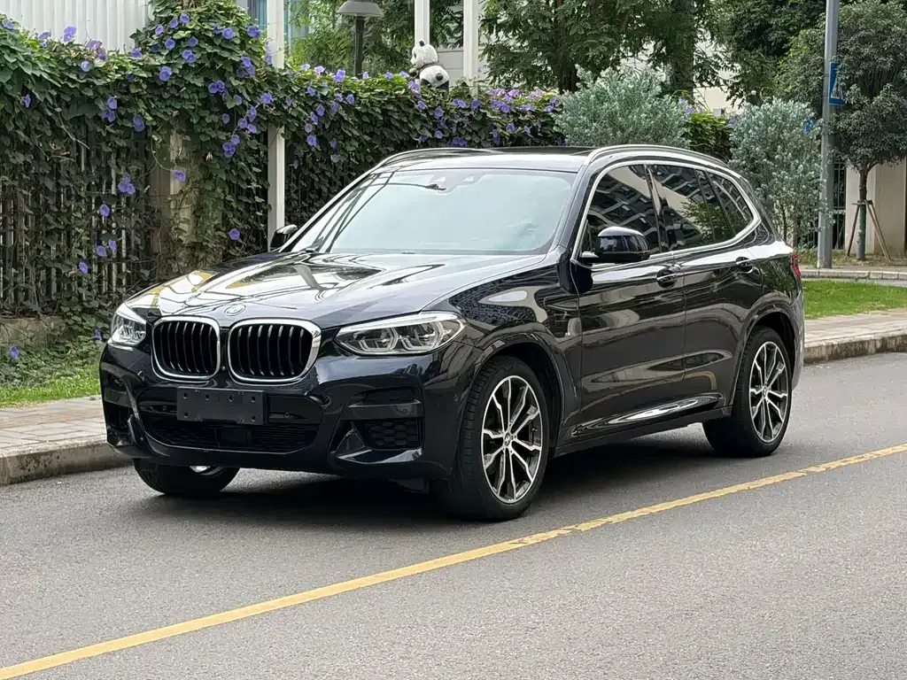 BMW X3 — фото 1