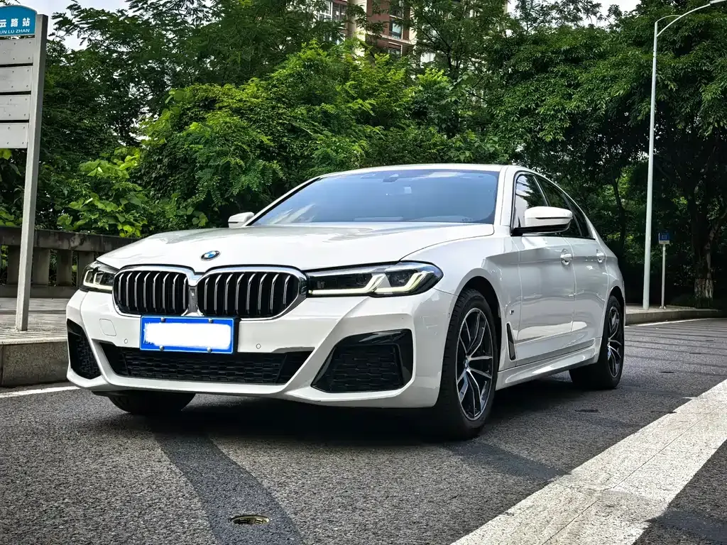 BMW 5 Series (Import) — фото 1