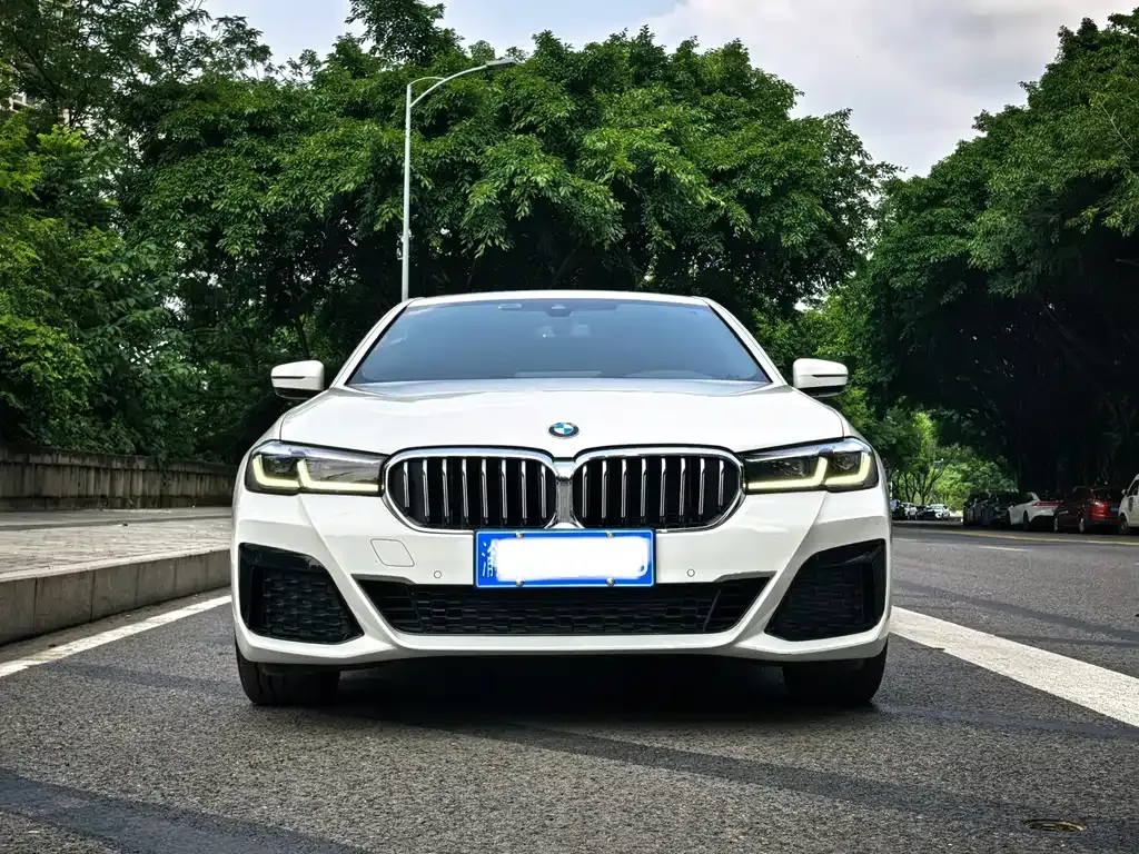 BMW 5 Series (Import) — фото 8