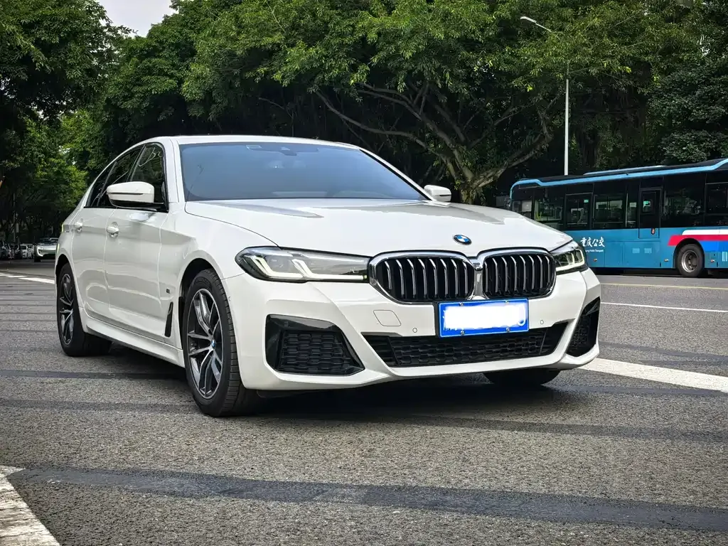 BMW 5 Series (Import) — фото 7