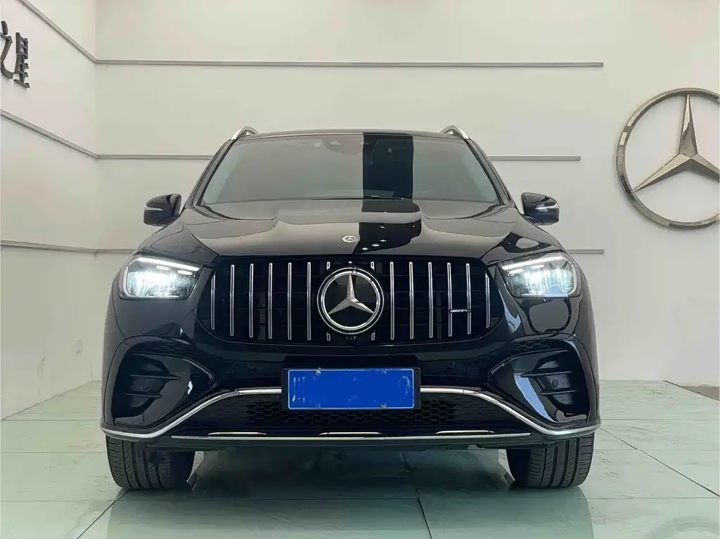 Mercedes-Benz 奔驰GLE(进口) — фото 6