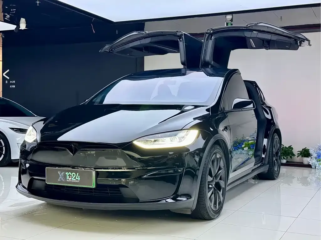 Tesla Model X — фото 1