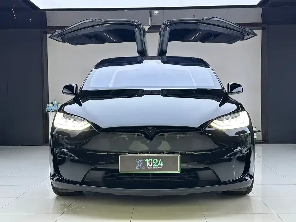 Tesla Model X — фото 8