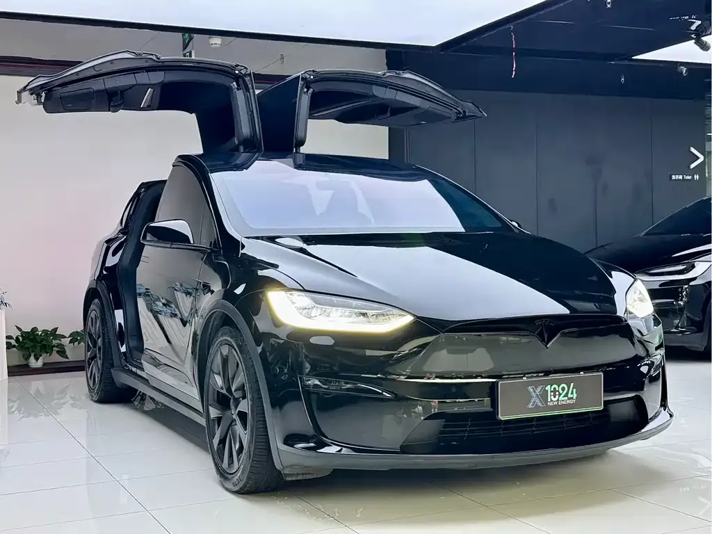 Tesla Model X — фото 9