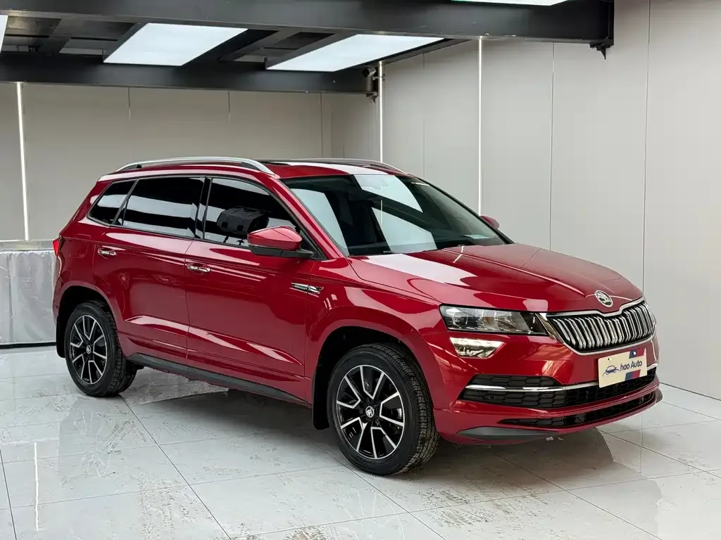 Skoda Karoq — фото 4
