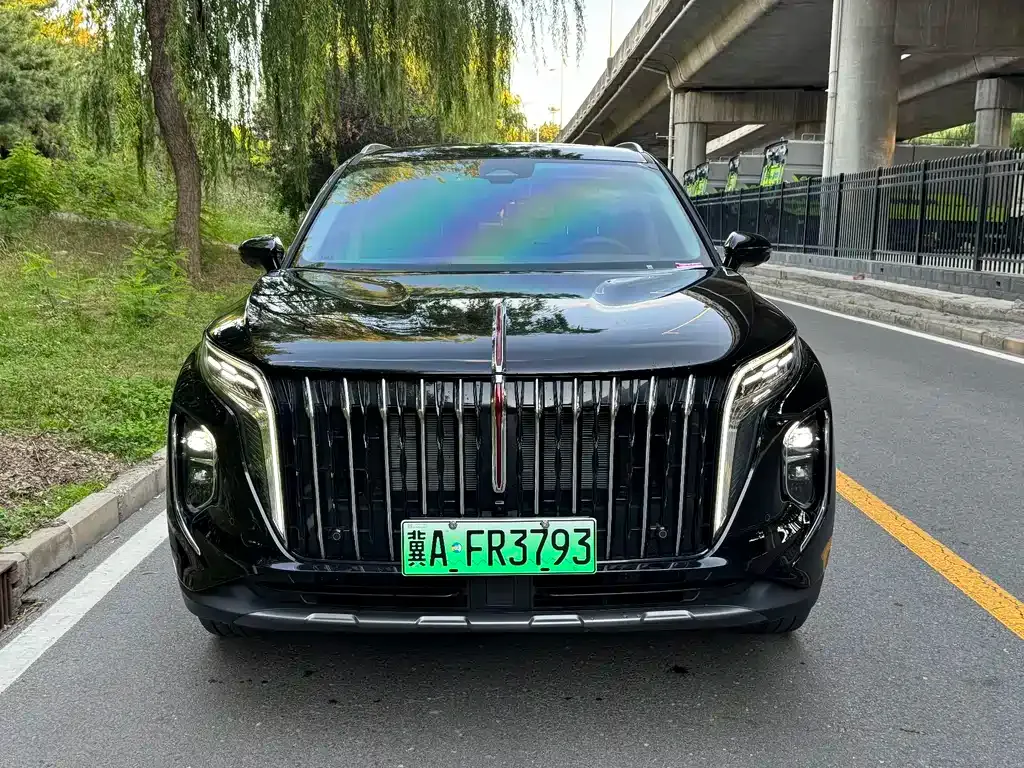 Hongqi HS7 PHEV — фото 4