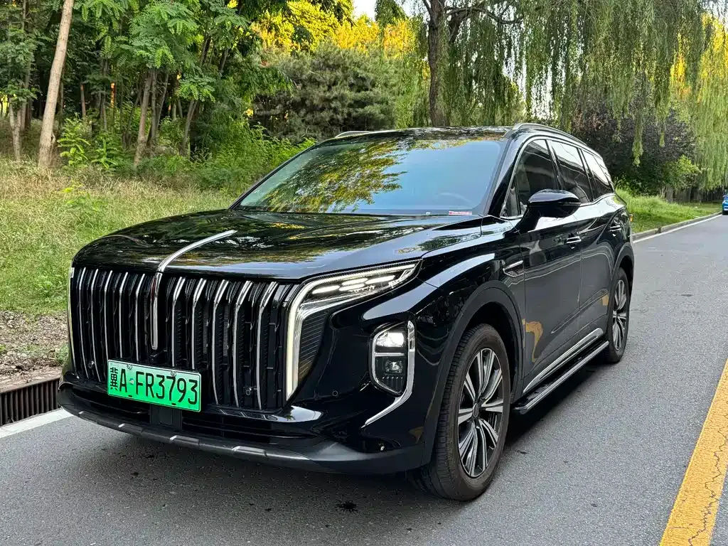 Hongqi HS7 PHEV — фото 9
