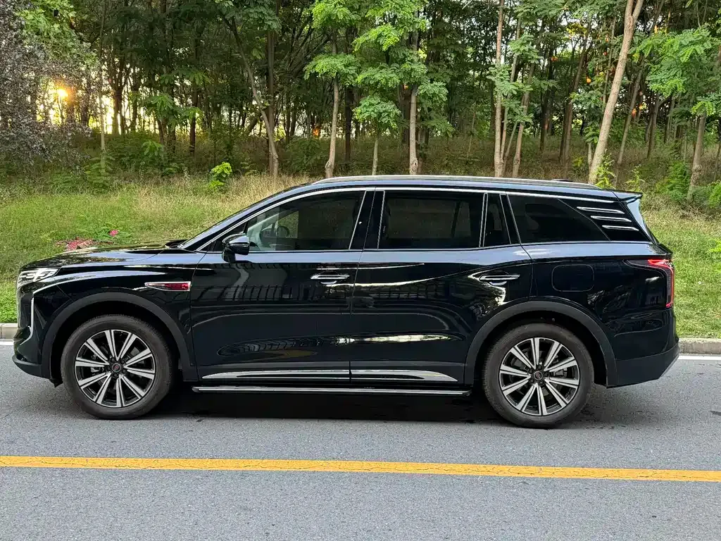 Hongqi HS7 PHEV — фото 7