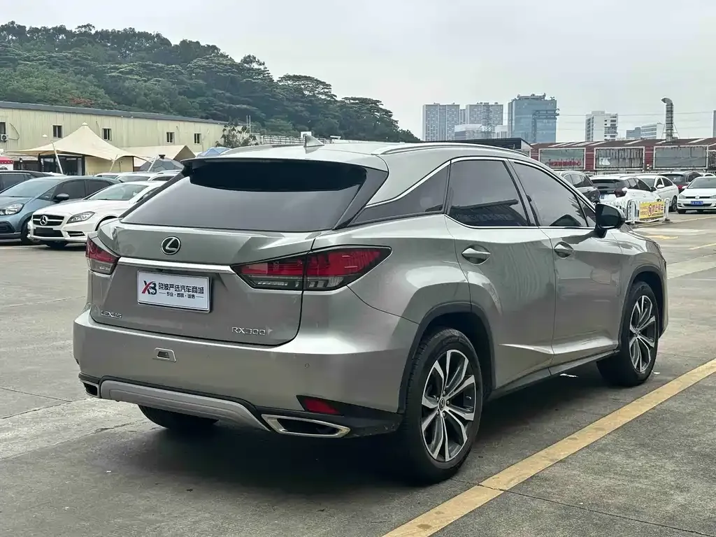Lexus RX — фото 10