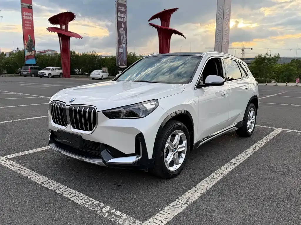 BMW X1 — фото 1