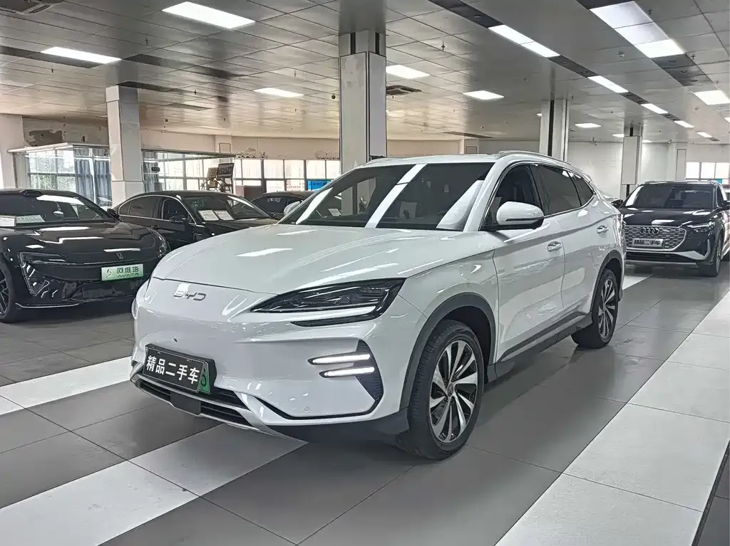 BYD PLUS New Energy — фото 1