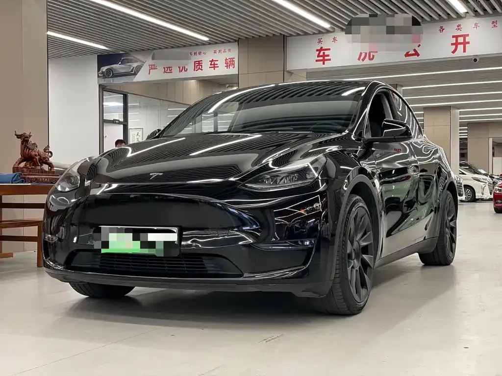 Tesla Model Y — фото 1