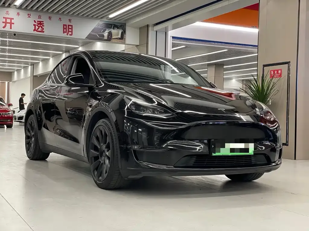 Tesla Model Y — фото 6