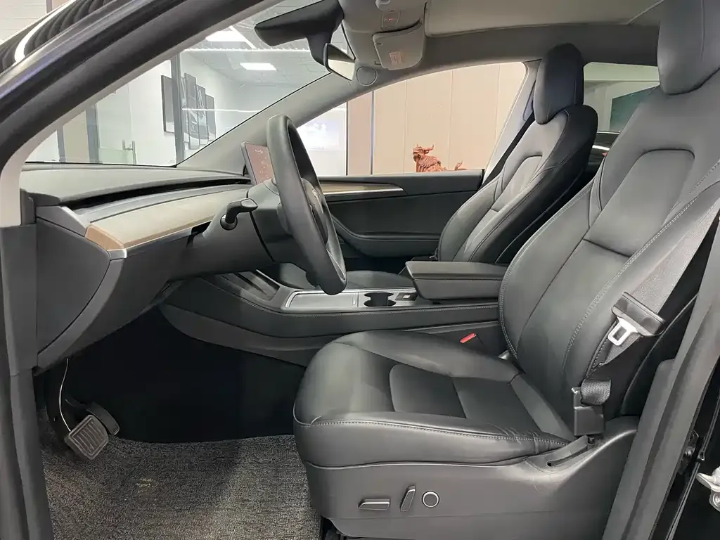 Tesla Model Y — фото 9
