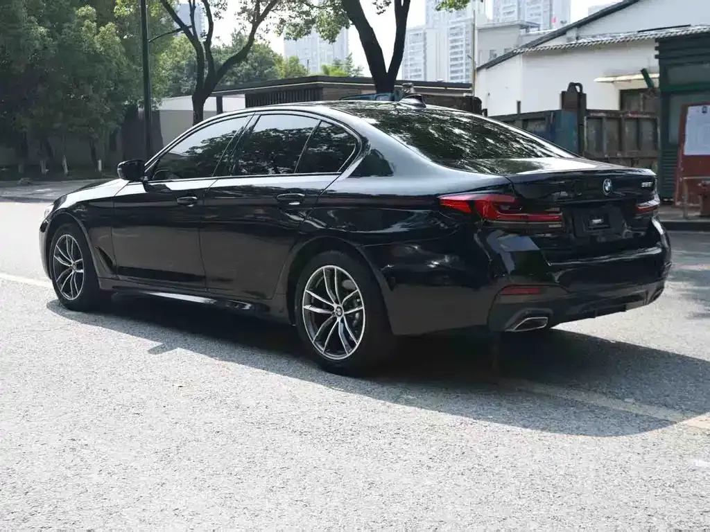 BMW 5 Series (Import) — фото 8