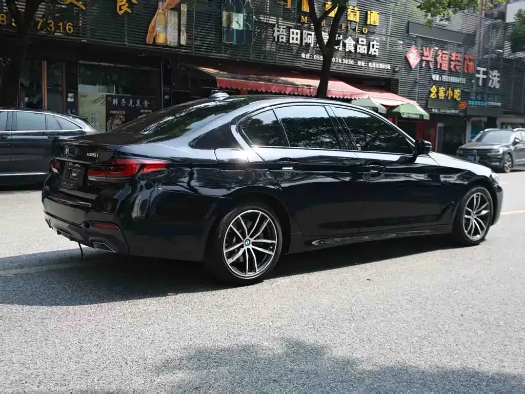 BMW 5 Series (Import) — фото 10