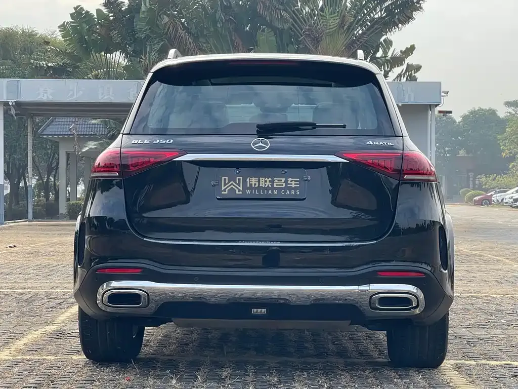 Mercedes-Benz 奔驰GLE(进口) — фото 5