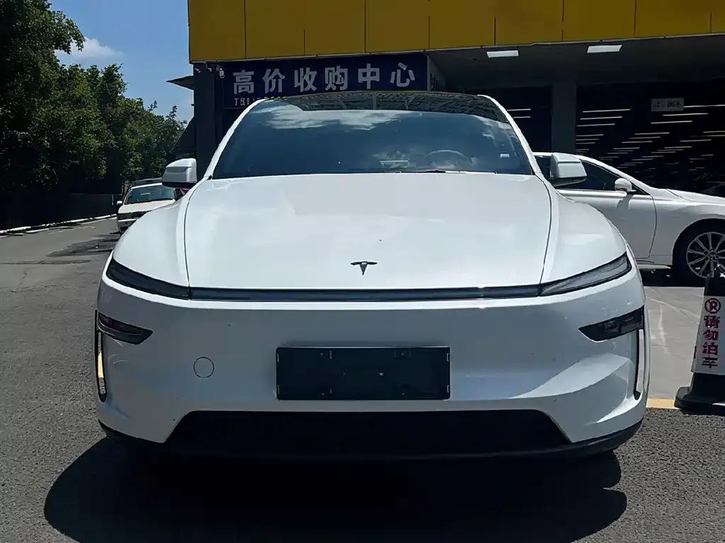 Tesla Model Y — фото 9