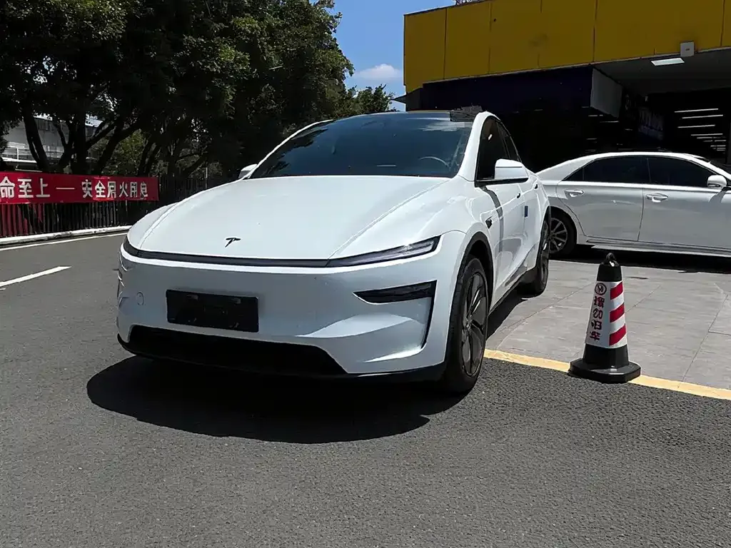 Tesla Model Y — фото 6